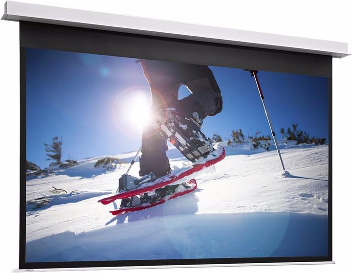 Vaddio Projecta Tensioned DescenderPro - Écran de projection - montage au plafond - motorisé - 230 V (176", 16:9)