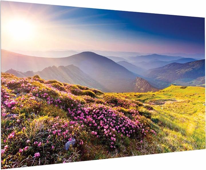 Image du produit Projecta FullVision HDTV Format - Ecran - adapté au montage mural - 402 cm (158.27") (158", 16:9)