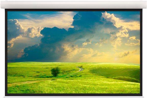 Actual product image Projecta Elpro Concept RF Video Format - screen - ceiling mounting possible, suitable for W (153", 4:3)