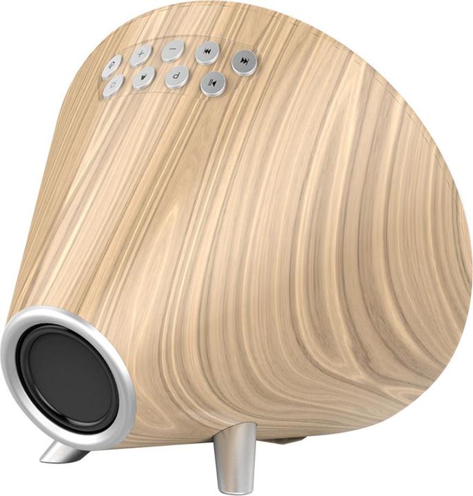 Produktbild Nasa WSP1700 wood Weather Station/Speaker BT Ship