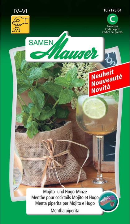 Samen Mauser Mojito and Hugo Mint (Herb seeds)
