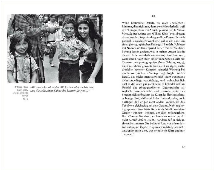 Produktbild Die helle Kammer (Deutsch, Roland Barthes, 2009)