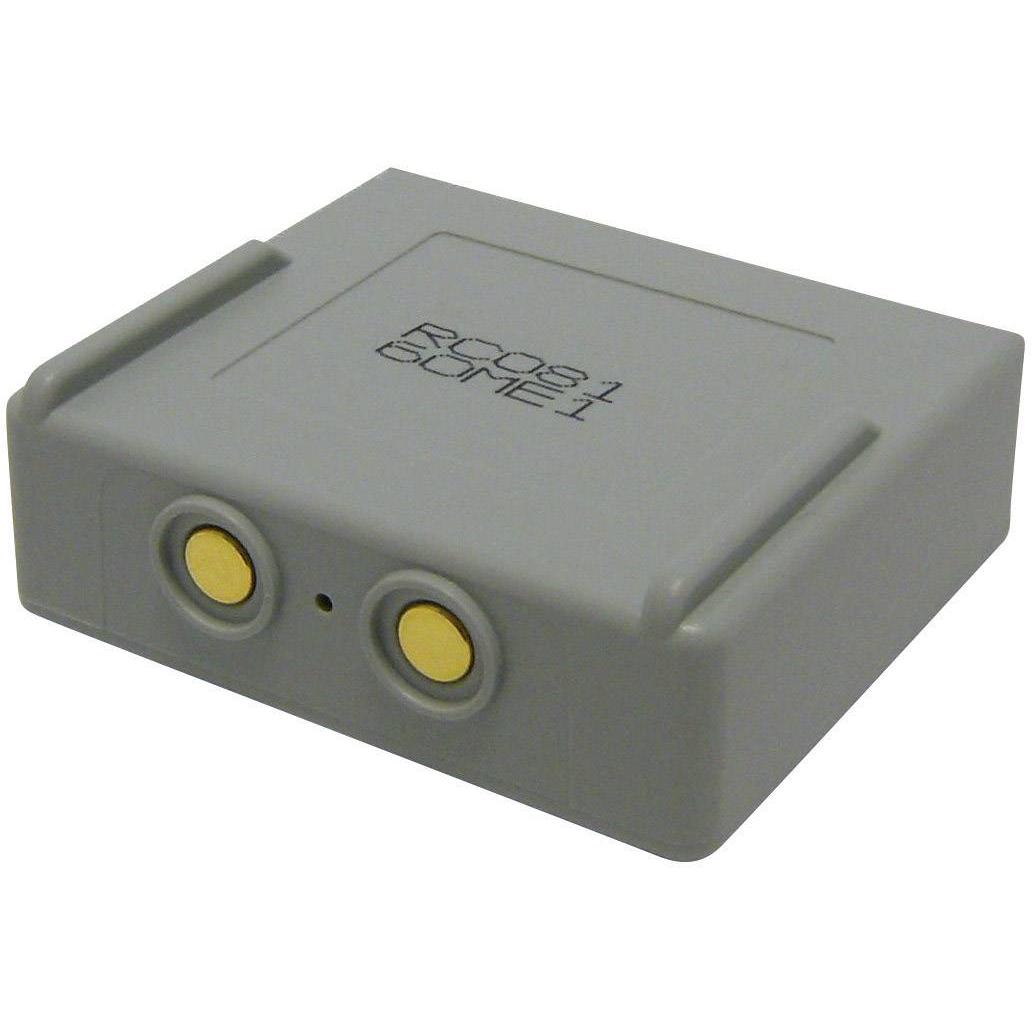 Beltrona Batteria del telecomando della gru 3,6 V 2500 mAh (2500 mAh)