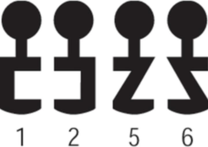 Actual product image Schänis Ring spanner 7355 No. 6