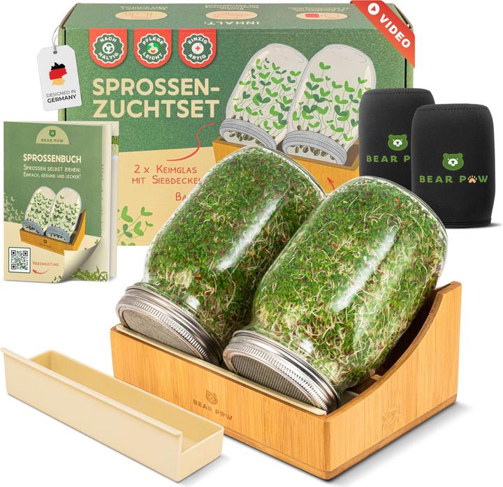 Gift Republic Grow it Bonsai - kaufen bei Galaxus - Galaxus