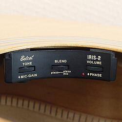 Belcat Iris-2 Sound Hole Preamp, Zubehör Instrumente