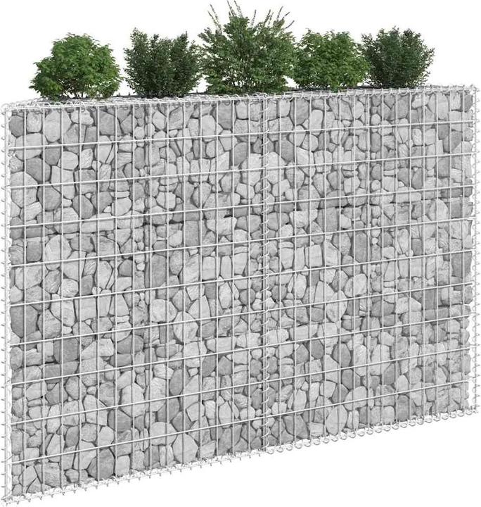 Immagine prodotto vidaXL Gabionen-Hochbeet