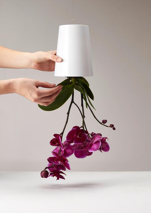 Actual product image boskke Sky Planter (9.50 cm)