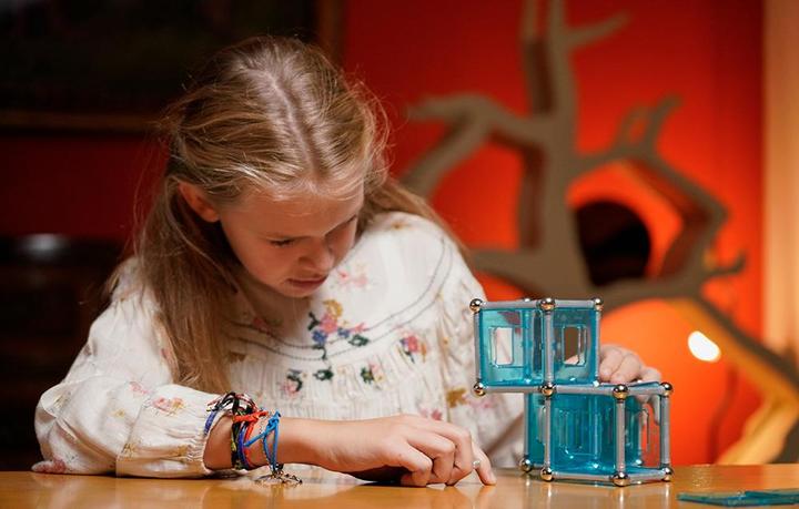 Actual product image Geomag Pro L