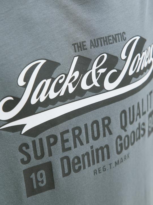 Actual product image Jack & Jones Jjelogo Tee Ss Oneck 2 Col Aw25 Noos Jnr (140)