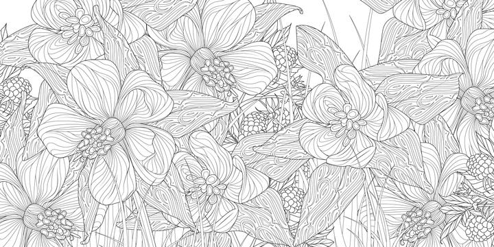 Produktbild Zauberhafte Gärten