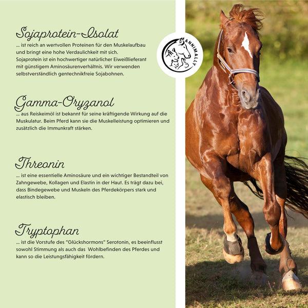 Produktbild Annimally Muskelpower Pulver - Nachfüllpackung (1 x, 2000 g)