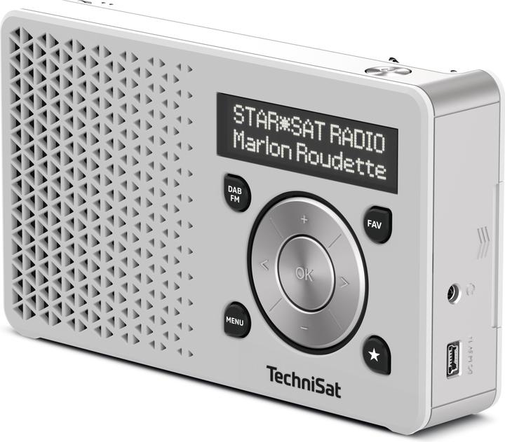 Actual product image TechniSat Digitradio 1 (DAB+, FM)