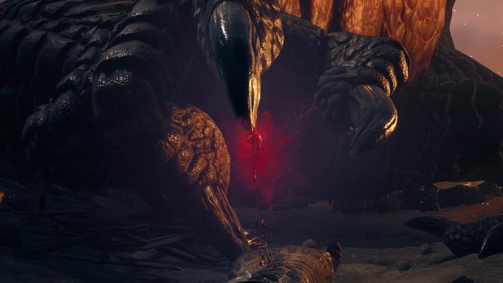 Actual product image Capcom Dragon's Dogma 2 (PS5)