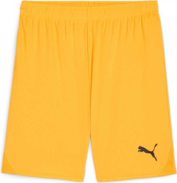 Image du produit Puma teamGOAL Short (L)