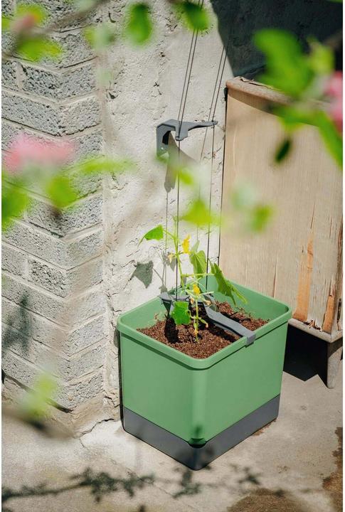 Actual product image Gusta Garden CURT CUCUMBER Gurkentopf Blau (33.50 cm)