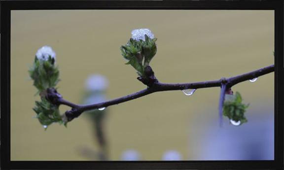 Produktbild Medium Frame Budget Rahmenleinwand BM 160x120 cm AM 176x136 cm BxH 4:3 Format 8cm schwarzer Rahmen Typ D (4:3)