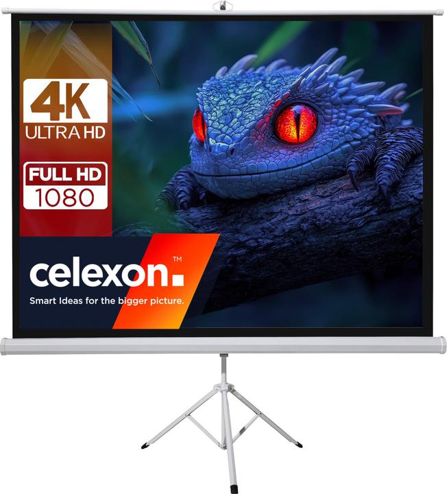 Actual product image Celexon Basic mobile projector stand screen can be assembled/disassembled in just a few minutes - ideal for (200", 1:1)