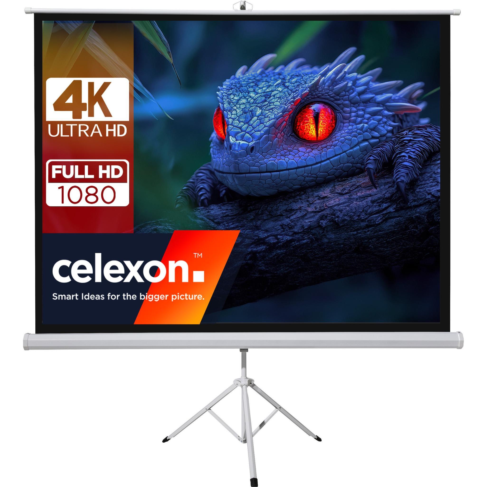 Thumbnail - Celexon basic mobile Beamer-Stativ-Leinwand in wenigen Minuten Auf-/Abgebaut - optimal für Heimkino (200", 1:1), Leinwan...