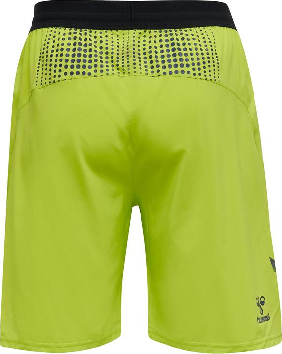 Actual product image hummel Lead Pro Training Shorts (M)