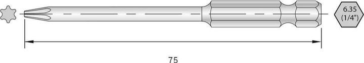 Bernstein 6-TX15-75 Torx-Bit HRC-Stahl hochlegiert E 6.3 6 St.