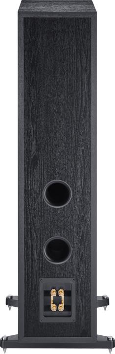 Actual product image Magnat Tempus 55 (1 pcs., 280 W)