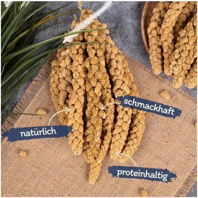 Produktbild Lyra Pet Kolbenhirse (1 x, 1 kg)