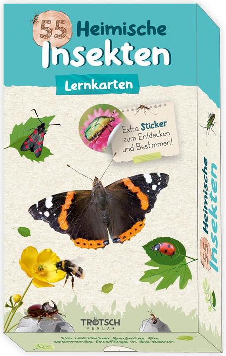 Actual product image 55 flashcards native insects