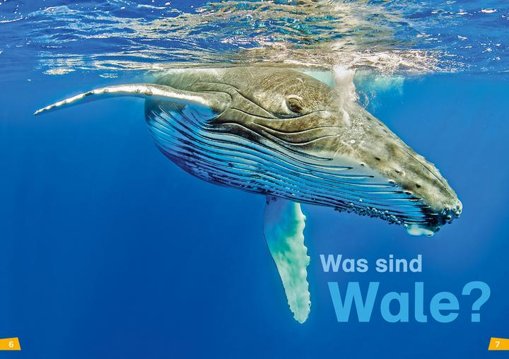 Produktbild Tessloff WAS IST WAS Erstes Lesen, Band 1: Wale und Delfine (Deutsch, Christina Braun, 2018)