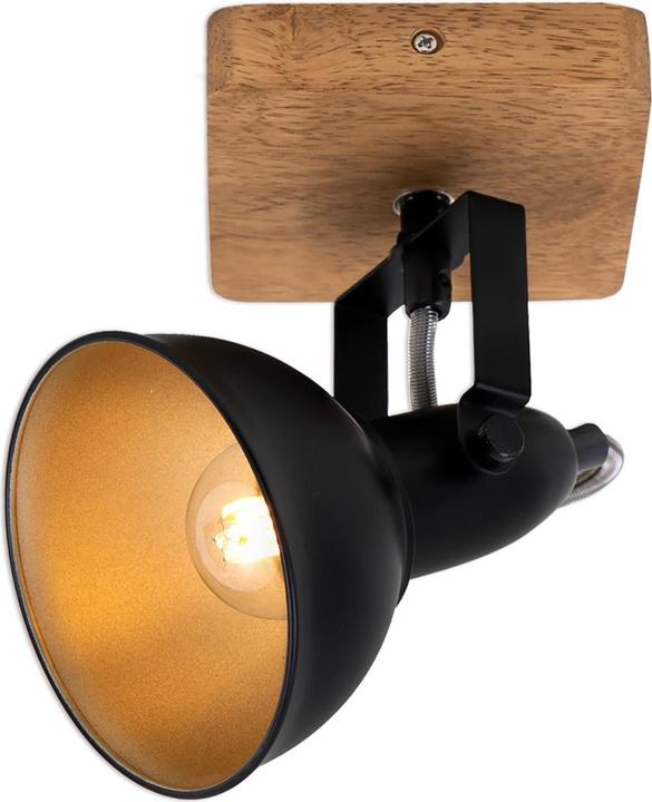 Briloner Barnim (E14)