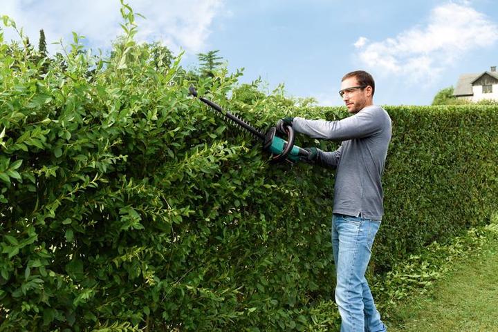 Produktbild Bosch Home & Garden Ahs 55-20 Li (Akkubetrieb)