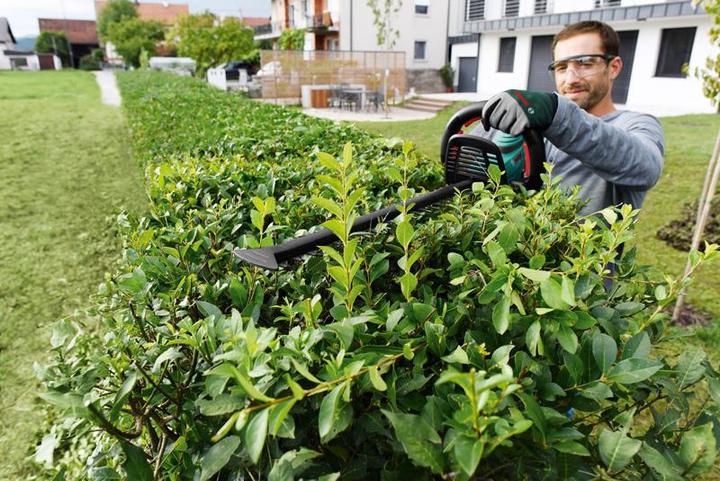 Produktbild Bosch Home & Garden Ahs 55-20 Li (Akkubetrieb)