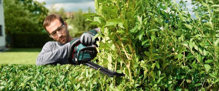Produktbild Bosch Home & Garden Ahs 55-20 Li (Akkubetrieb)