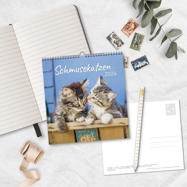 Produktbild Schmusekatzen 2026