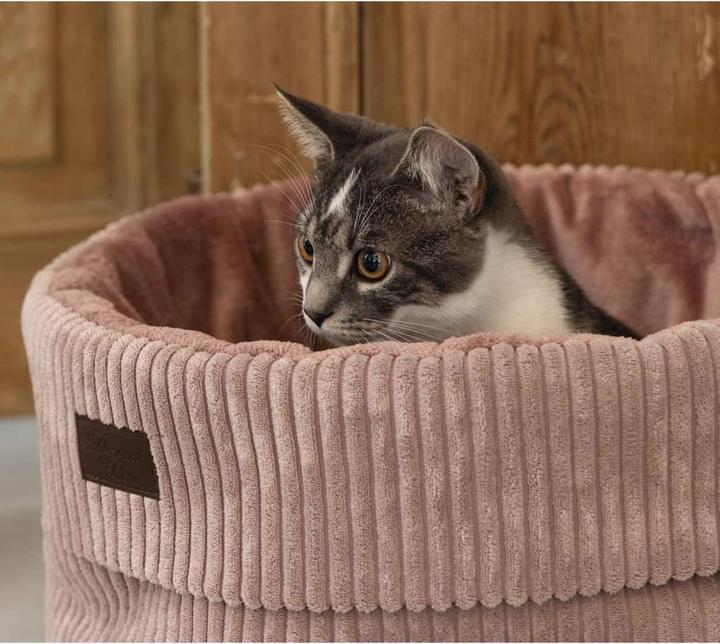 Designed by Lotte Katzen Korb Ribbed (Cat)