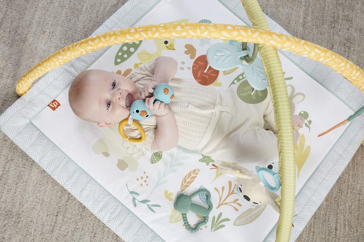 Image du produit Fisher-Price Simplement des sens