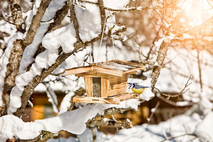 Immagine prodotto Windhager Grande Chalet