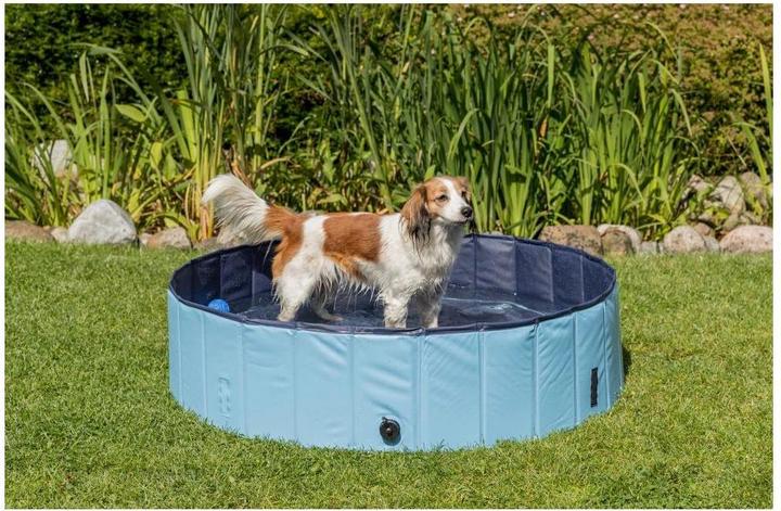 Produktbild Trixie Hundepool, 120 x 30 cm, hellblau (Hundepool)