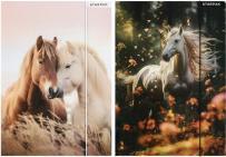 Actual product image Starpak folder with paper eraser a4 horses foil (1 x)