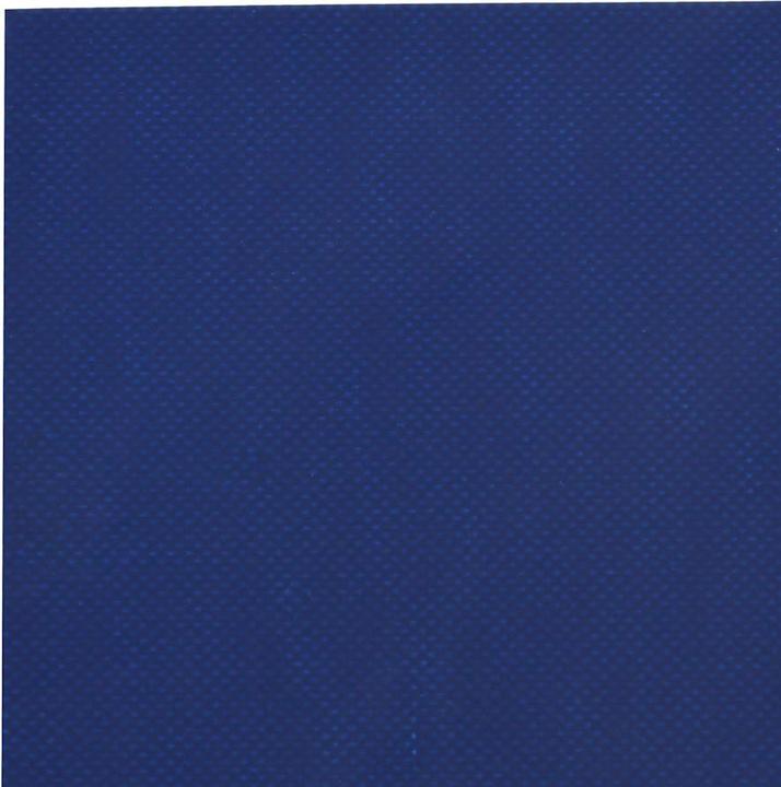 Produktbild vidaXL Plane (7 x 5 m)