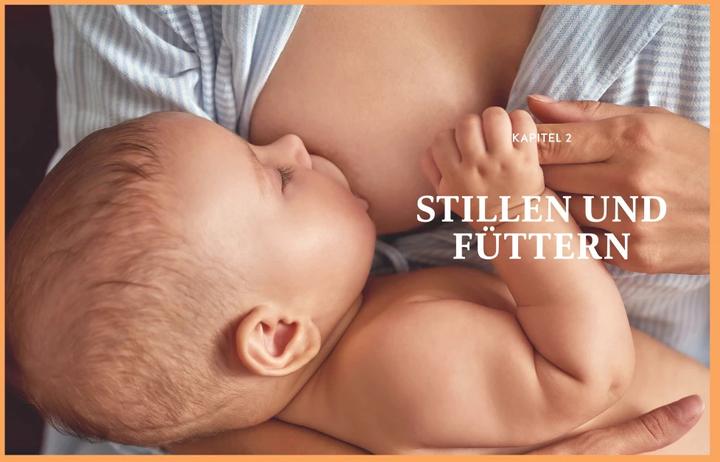 Immagine prodotto Das grosse Buch für Babys erstes Jahr (Tedesco, Annette Nolden, Stephan Heinrich Nolte, 2023)