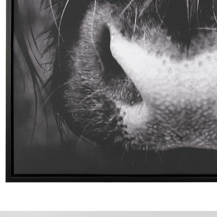 Produktbild Beliani Galeata (63 x 93 cm)