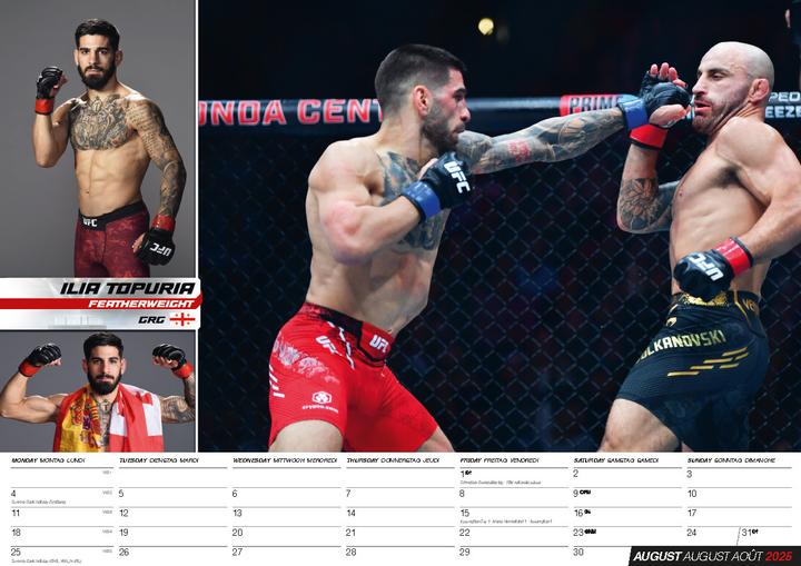 Actual product image MMA Calendar 2025 (42 x 30 cm, German)