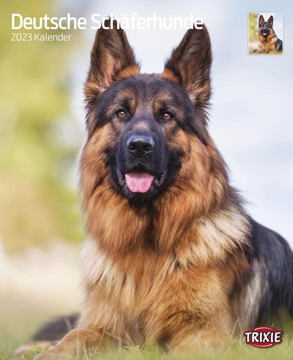 Actual product image Trixie Baby German Shepherds (35 x 28.5 cm, No binding)