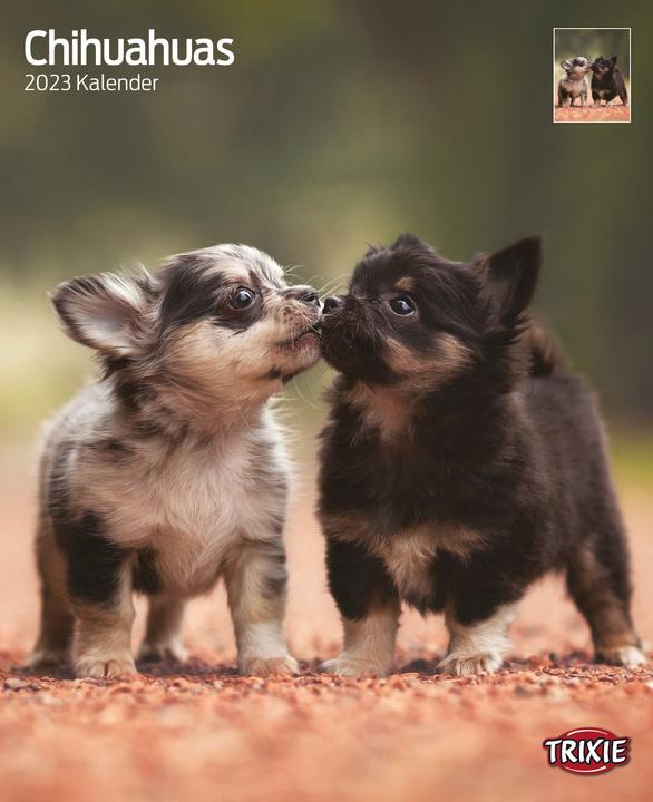 Produktbild Trixie Baby Kalender Chihuahuas