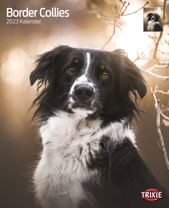 Produktbild Trixie Baby Kalender Border Collies