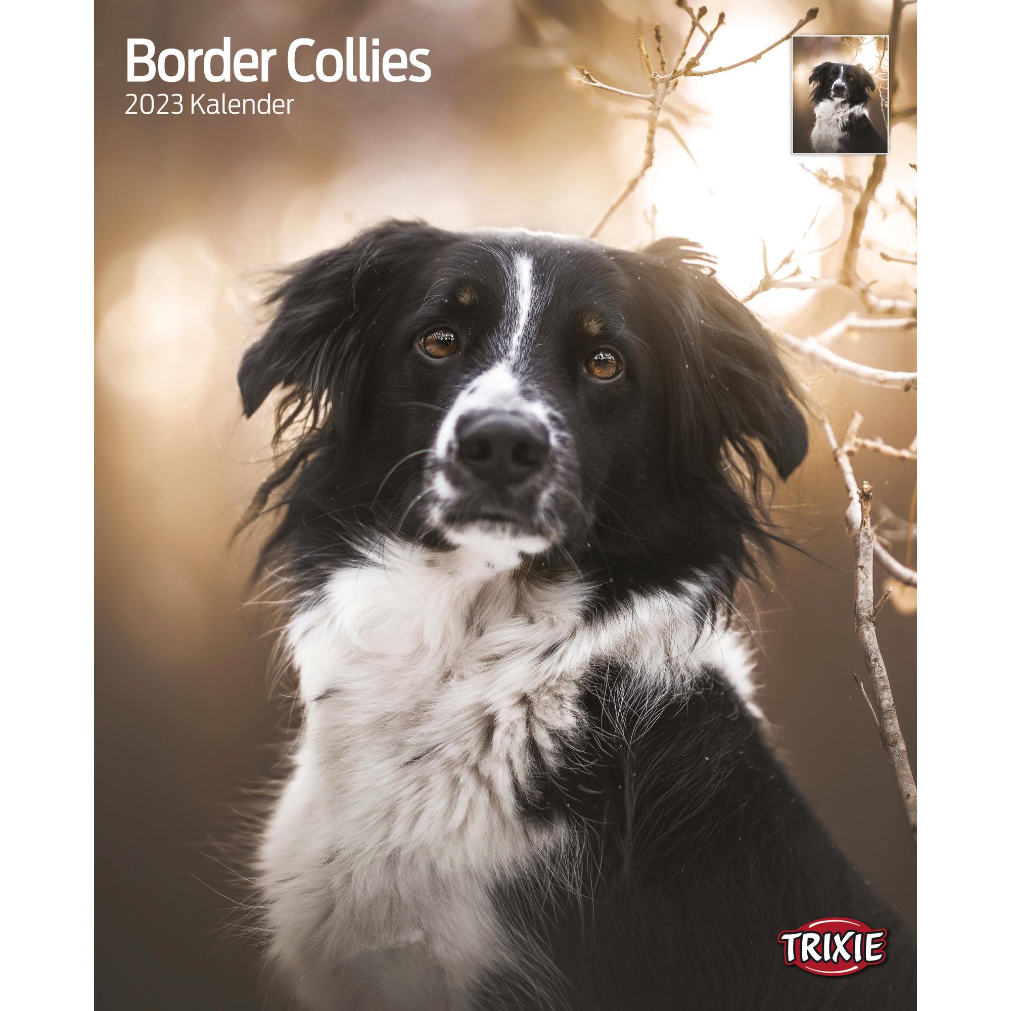 Trixie, Kalender, Kalender Border Collies