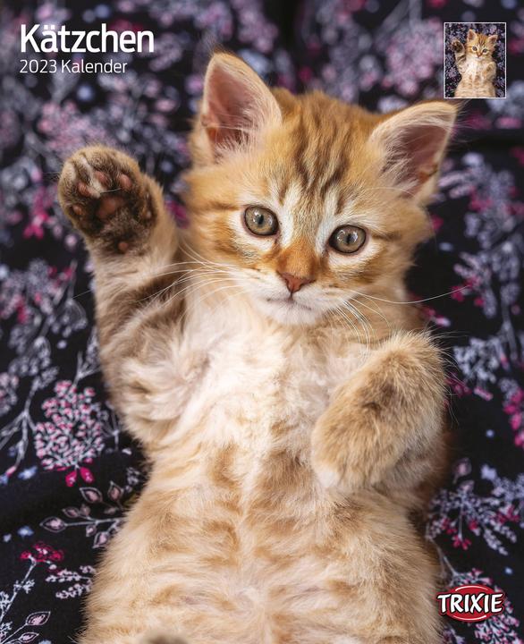 Produktbild Trixie Baby Kalender Kätzchen