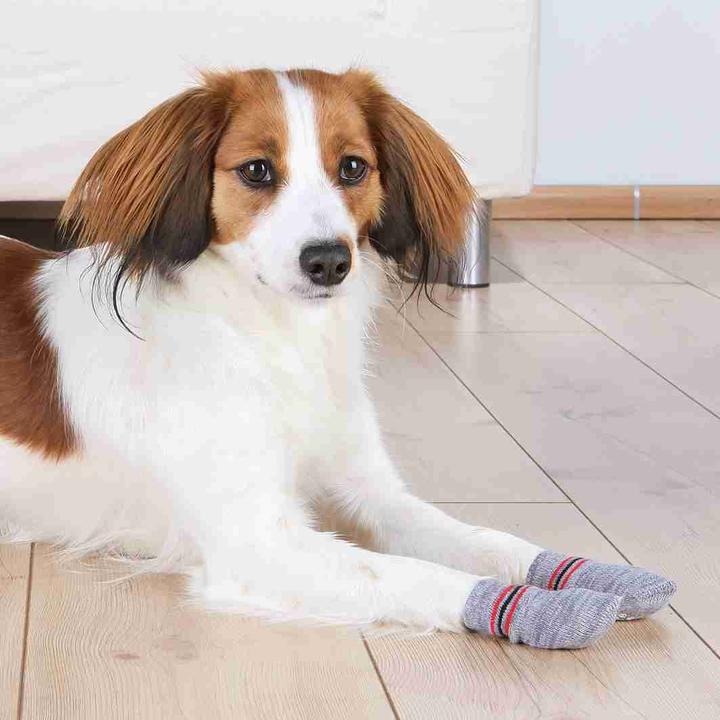 Produktbild Trixie Hundesocken (XXS, Hundesocken)