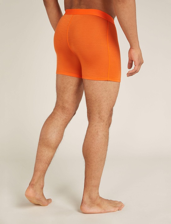 Produktbild Icebreaker Anatomica (M)